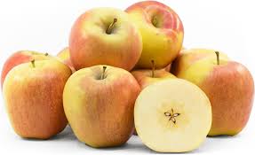 Ambrosia