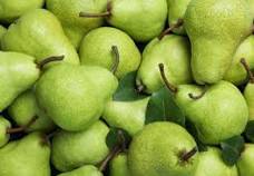 Bartlett Pears