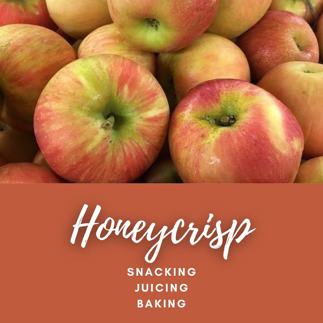 Honeycrisp