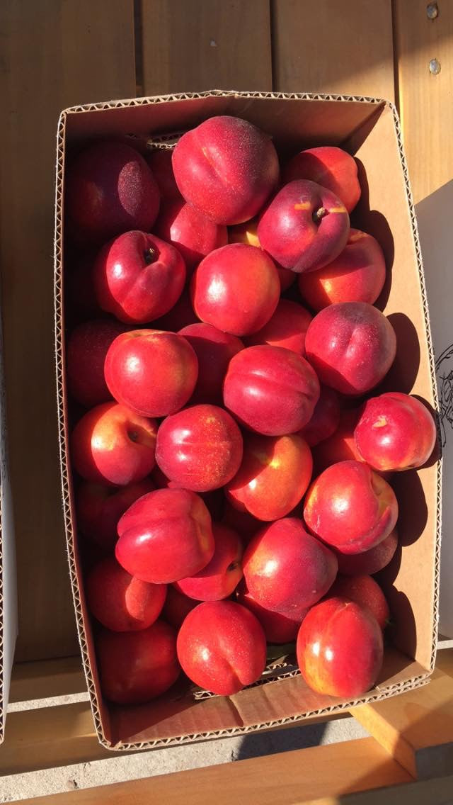 Red Diamond