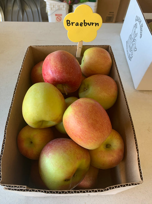 Braeburn