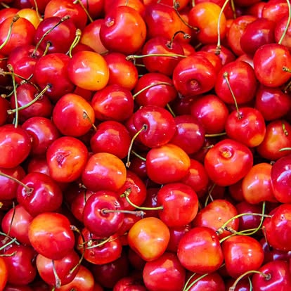 Rainer Cherries