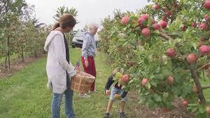 Honeycrisp U-Pick Ticket