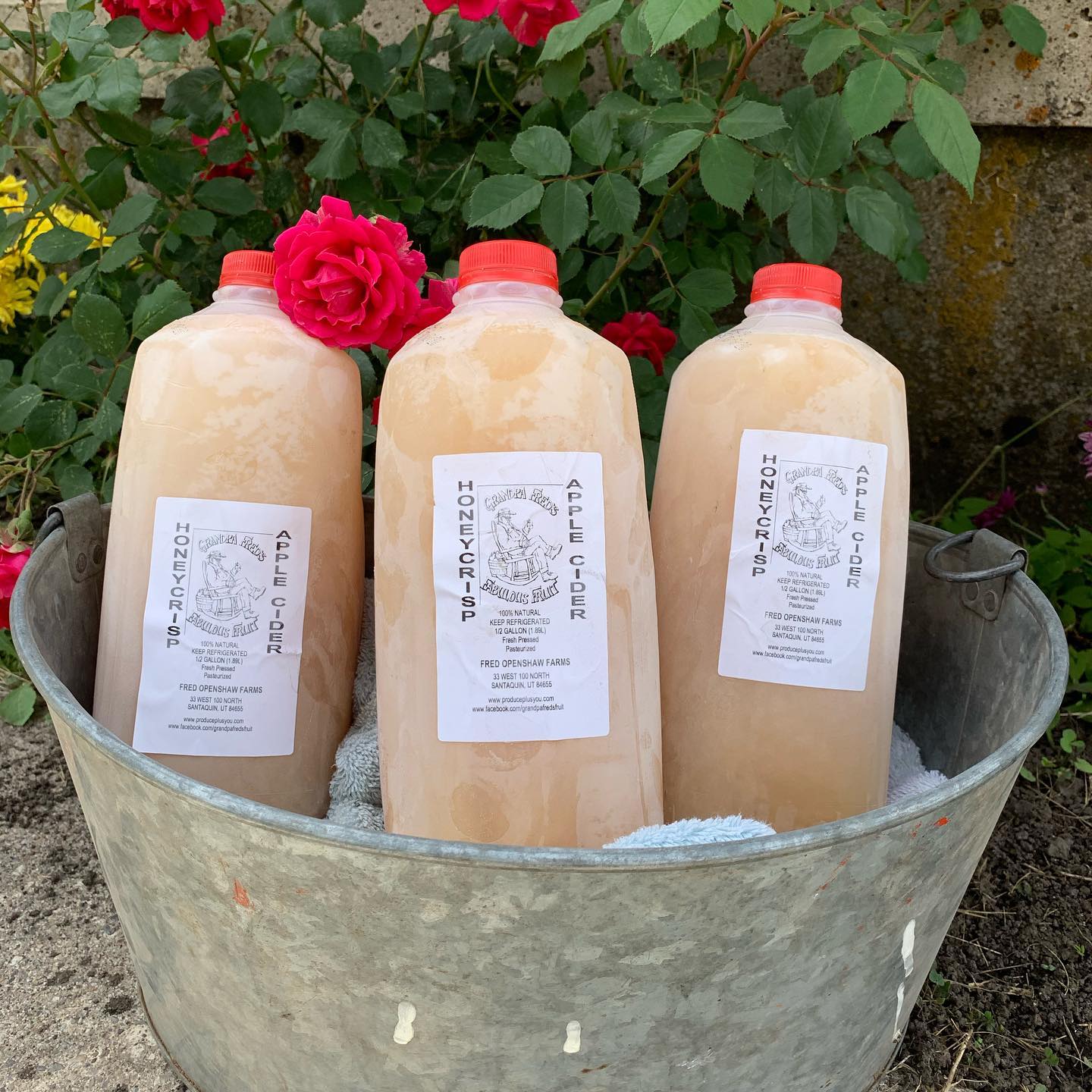 Honeycrisp Apple Cider 1/2 Gallon